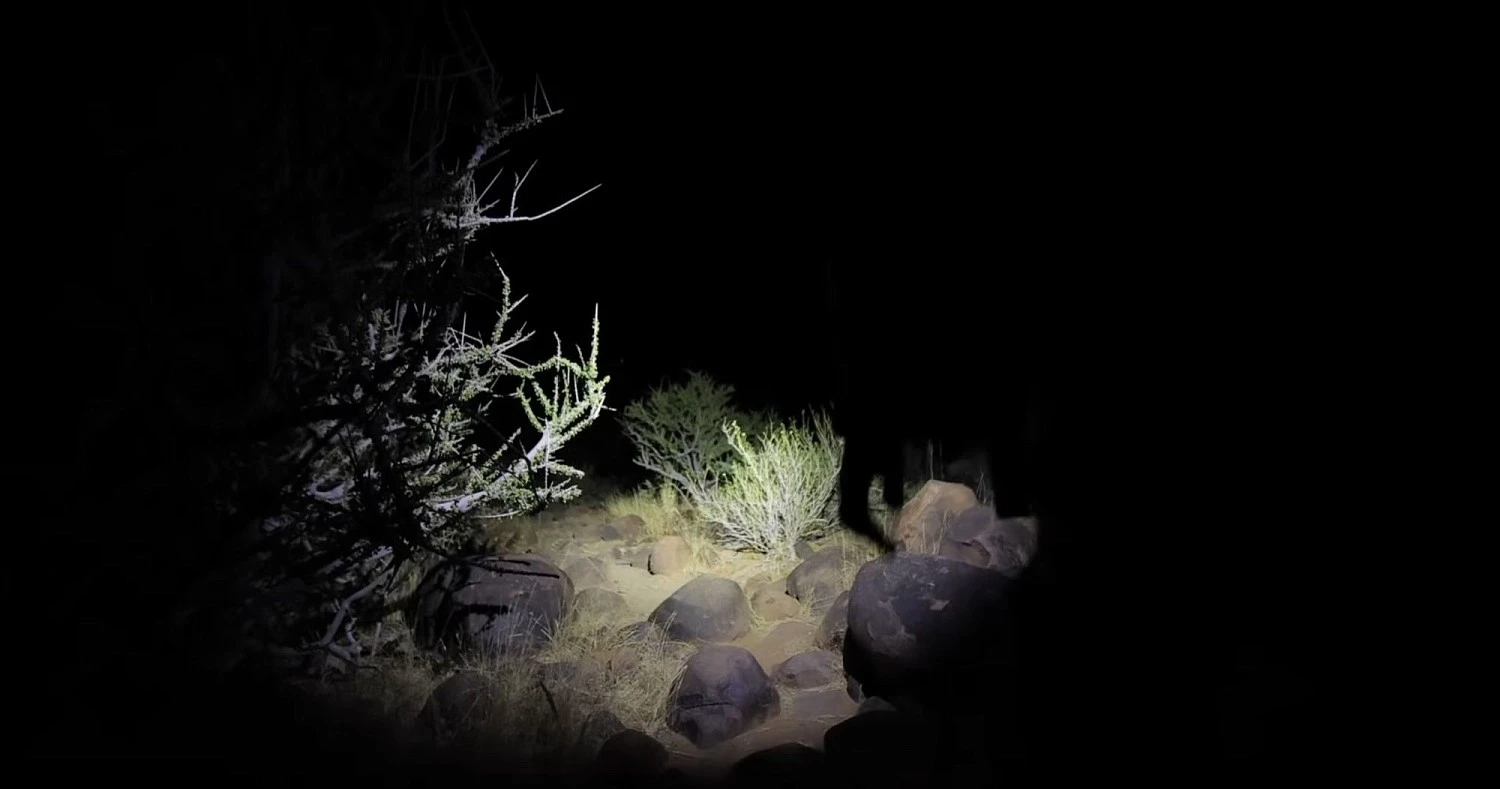 Антон Птушкин вместе с Fenix исследуют Намибию