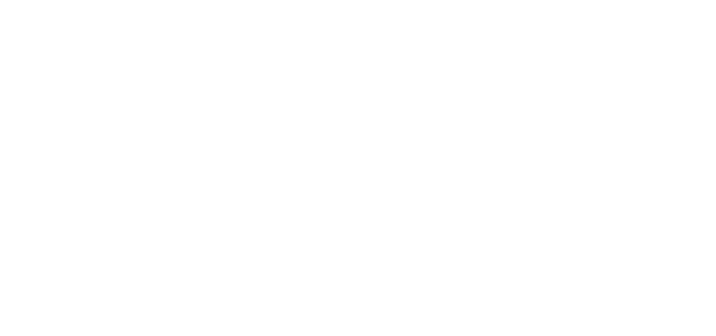 Fenix-russia
